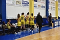 MAS_1651