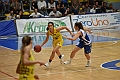 MAS_2024