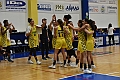 MAS_2033