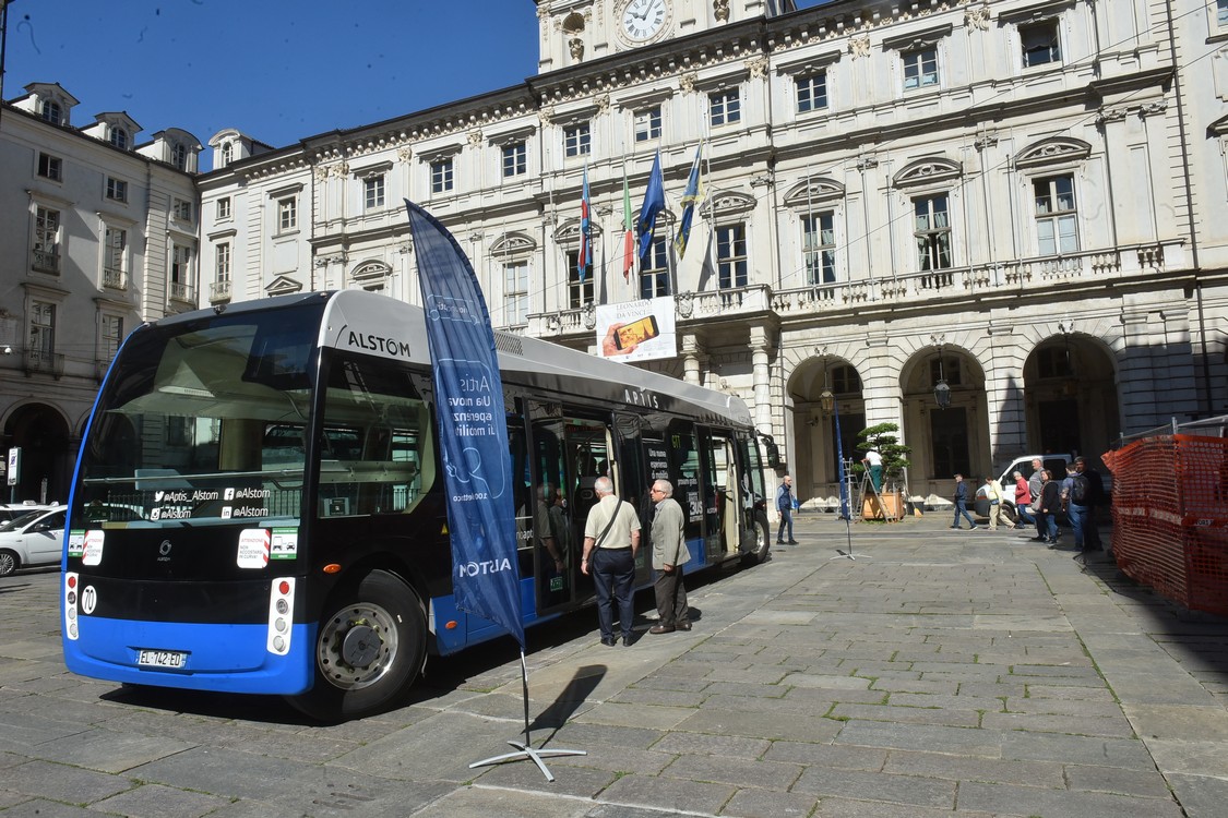 MAS_5865.jpg