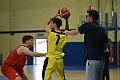 MAS_2631