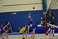 MAS_4528
