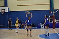 MAS_4565