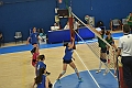 MAS_4784