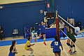 MAS_4810