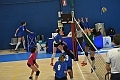 MAS_4833