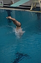 MAS_6016