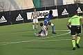 MAS_5905