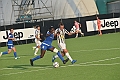 MAS_6019