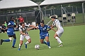 MAS_6071