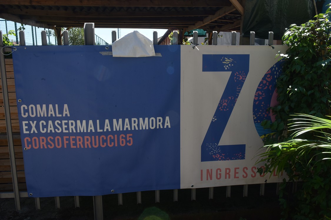 MAS_2260.jpg