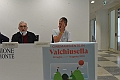 MAS_7538