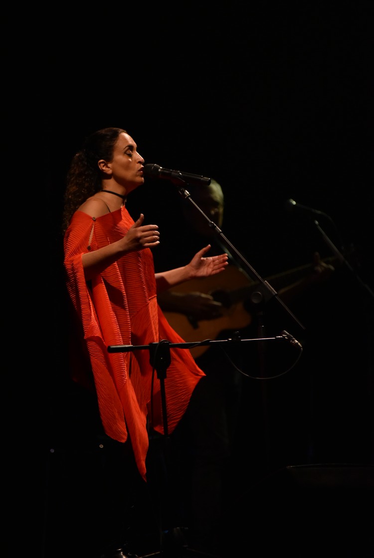 MAS_6650.jpg