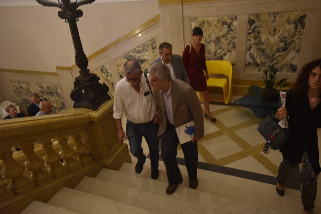MAS_2587.jpg