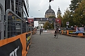 MAS_8781