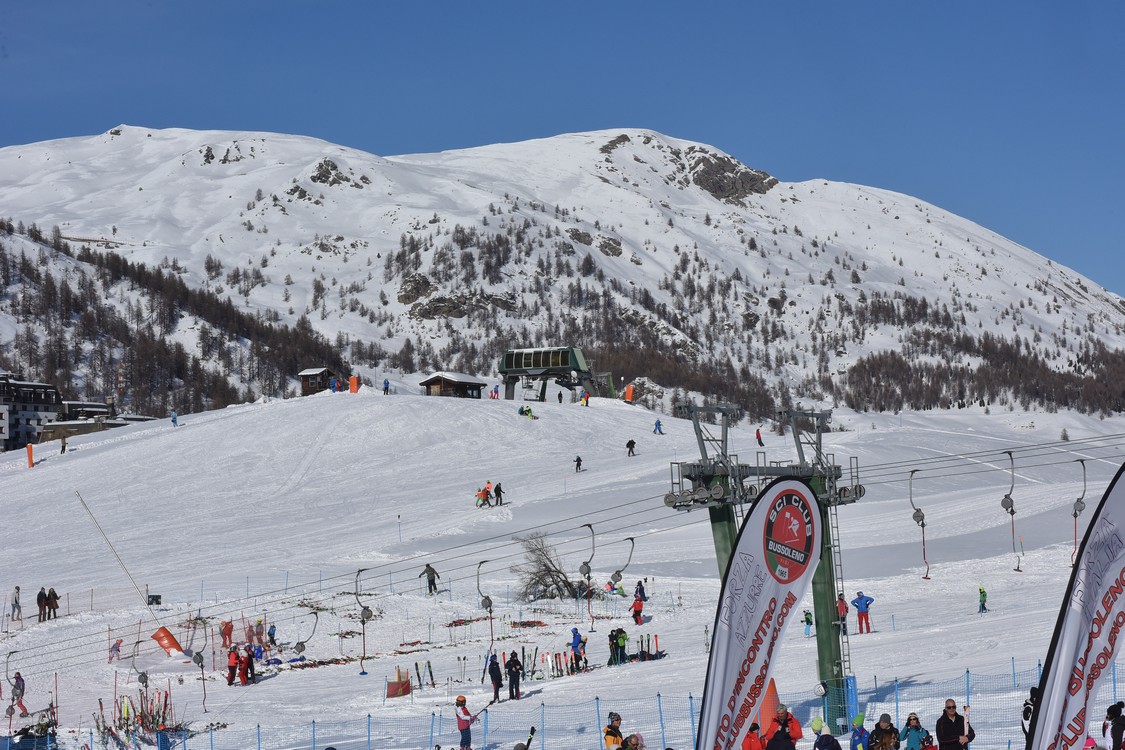 MAS_5676.jpg