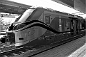 MAS_1532