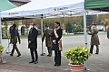 MAS_7245