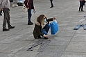 MAS_6619