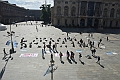 MAS_0181