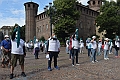 MAS_3217