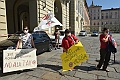 MAS_3356