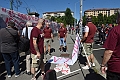 MAS_3446