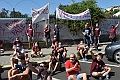 MAS_3523