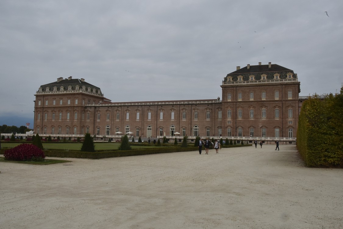 MAS_0459.jpg