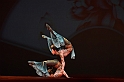 MAS_2737