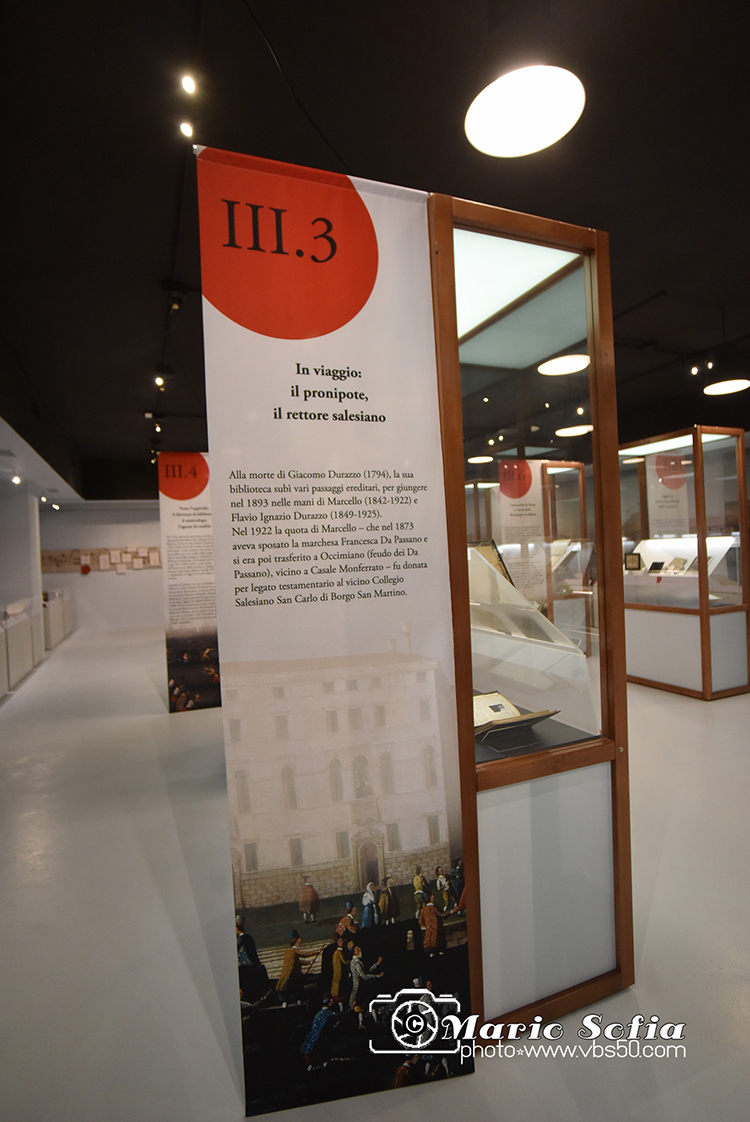 MAS_6229FotoMarioS.jpg