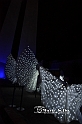 MAS_2317