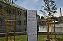 MAS_1542