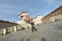 MAS_1617