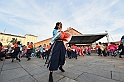 MAS_2077
