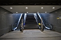 MAS_5335