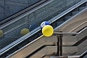 MAS_5549