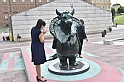 MAS_4538