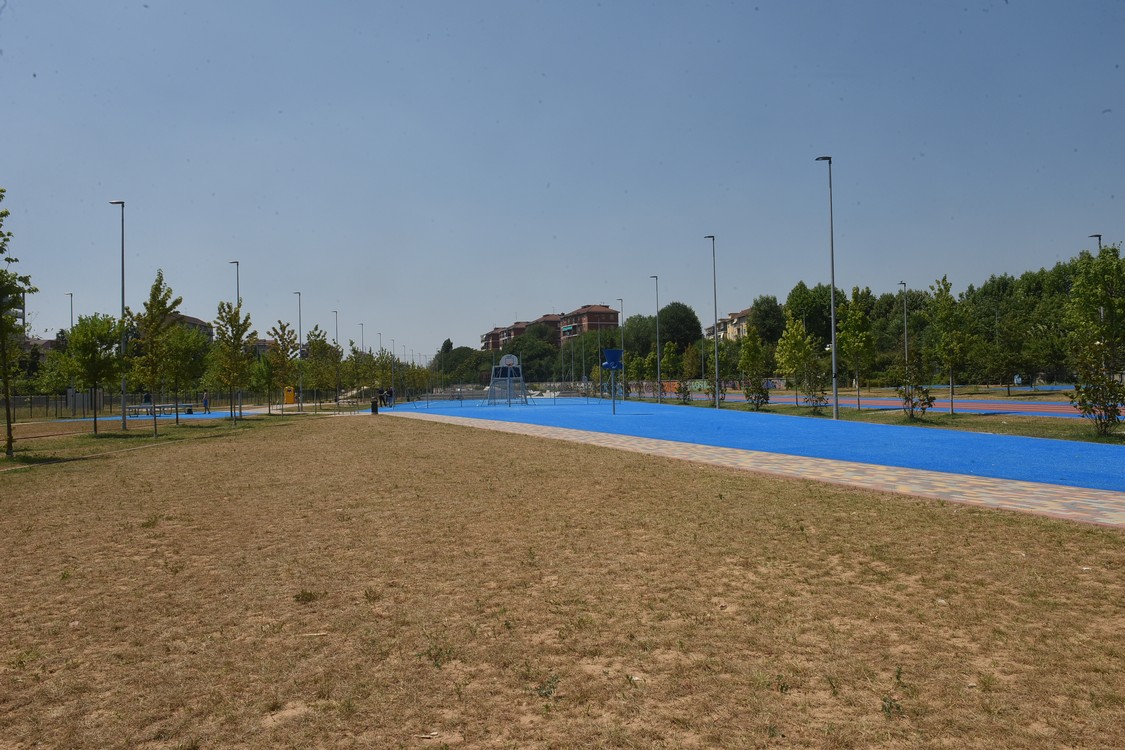 MAS_7854.jpg