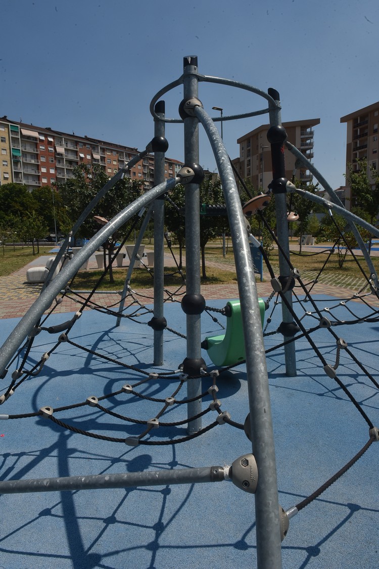 MAS_7872.jpg