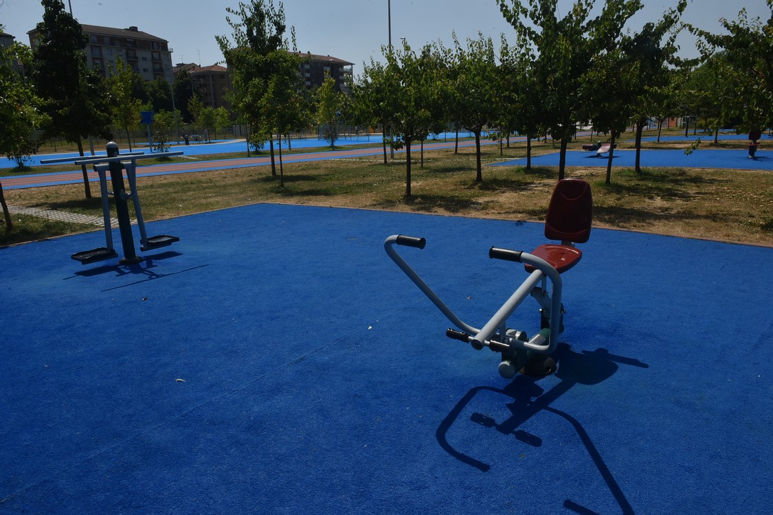 MAS_7875.jpg