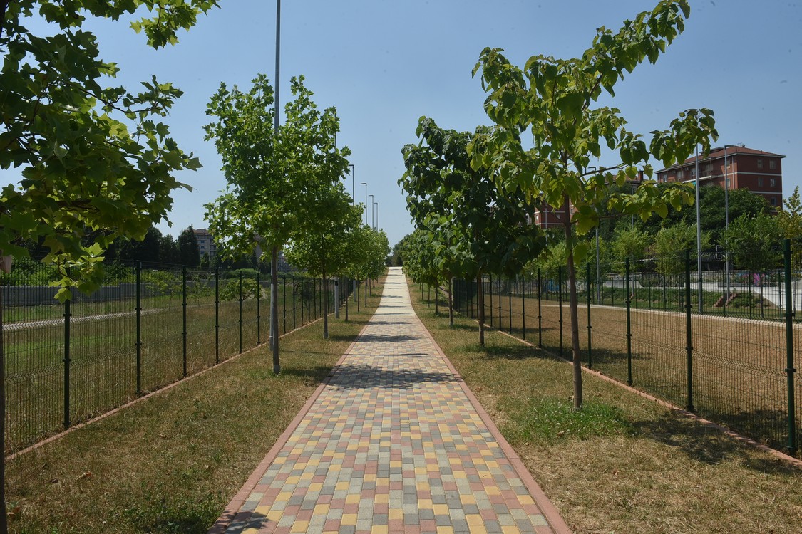 MAS_7932.jpg