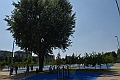 MAS_7857