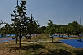 MAS_7870