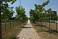 MAS_7931