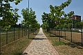 MAS_7932
