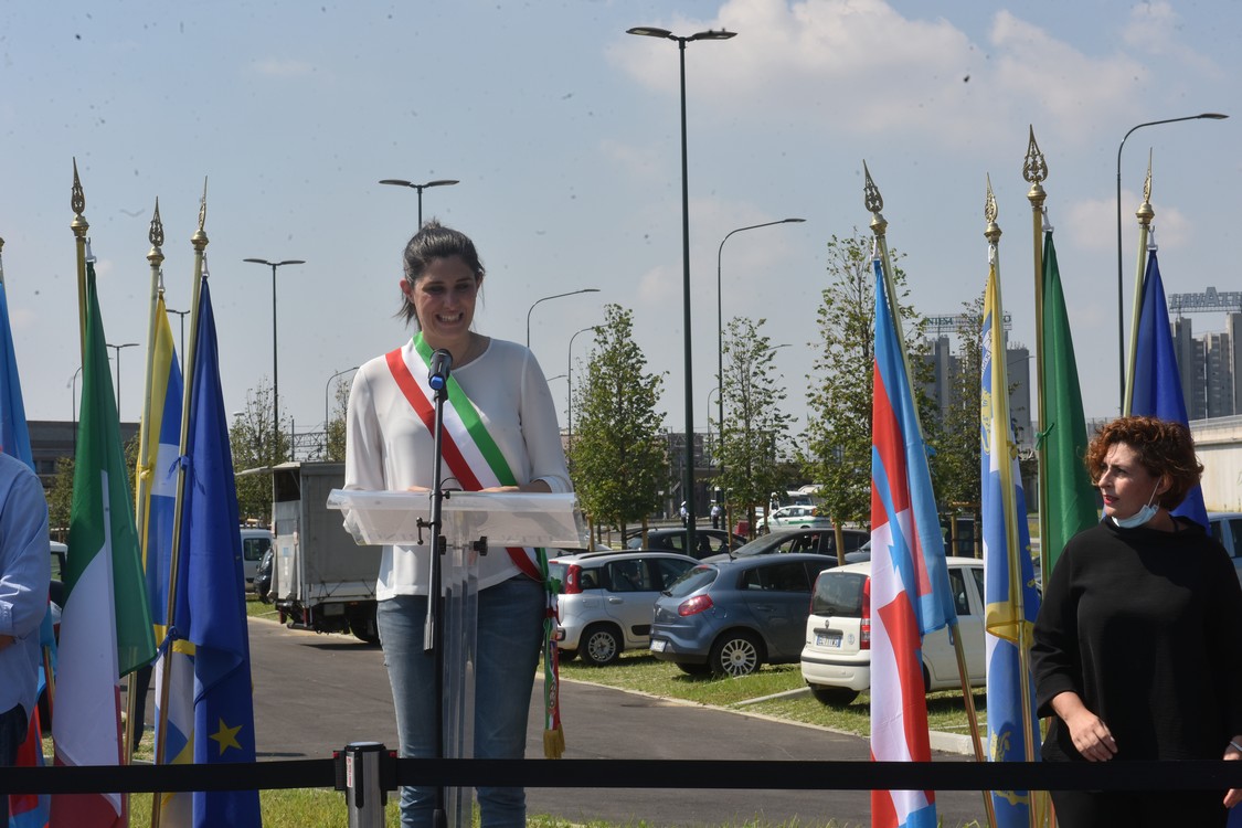 MAS_6334.jpg