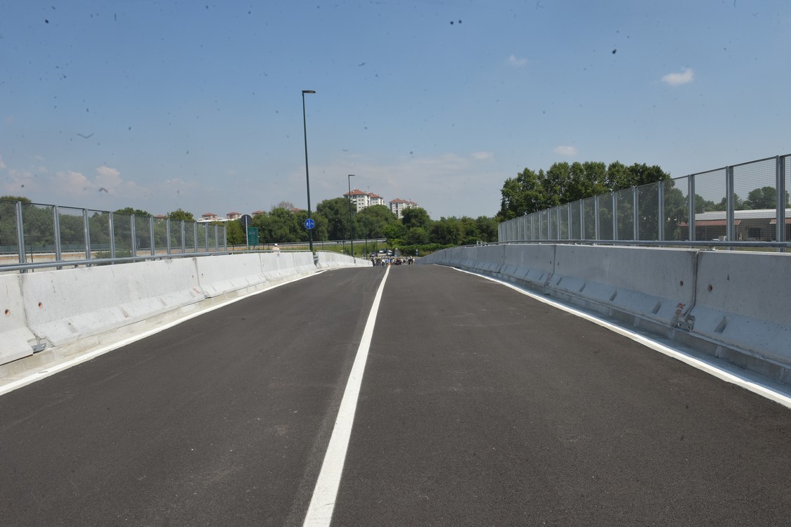 MAS_6390.jpg