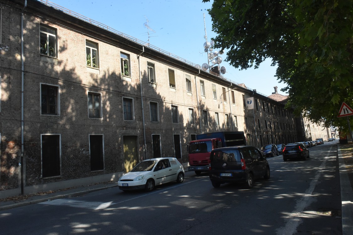 MAS_8110.jpg
