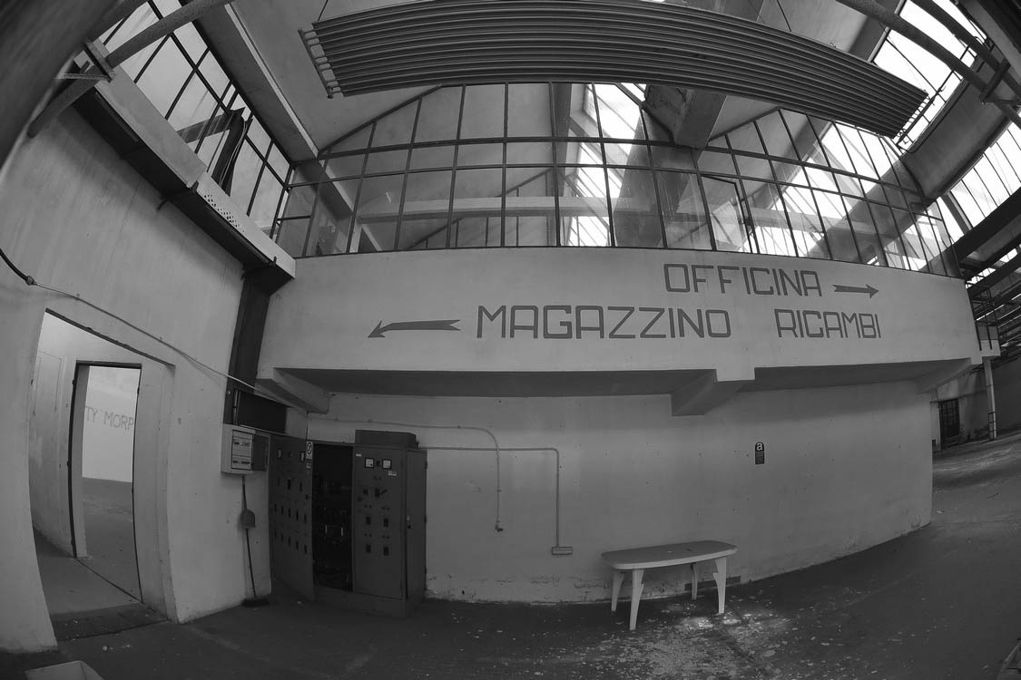 MAS_8153.jpg